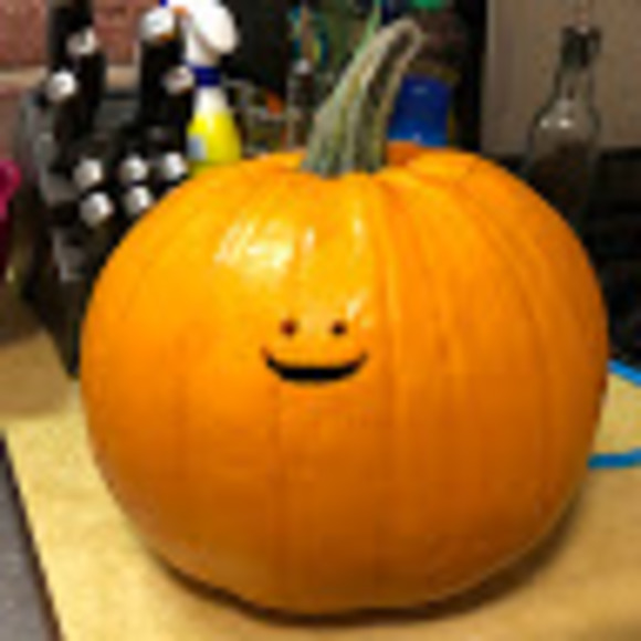 Meet your Posher, Matt - Picture 1 of 1